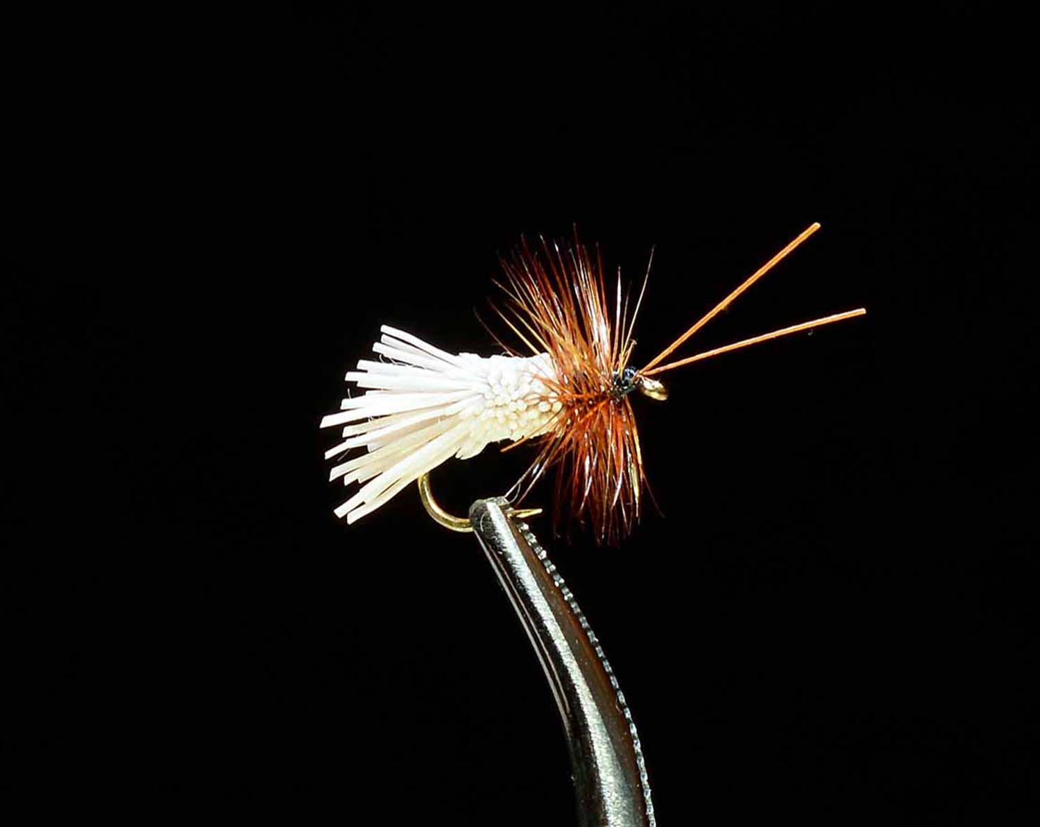 Caddis Assortment